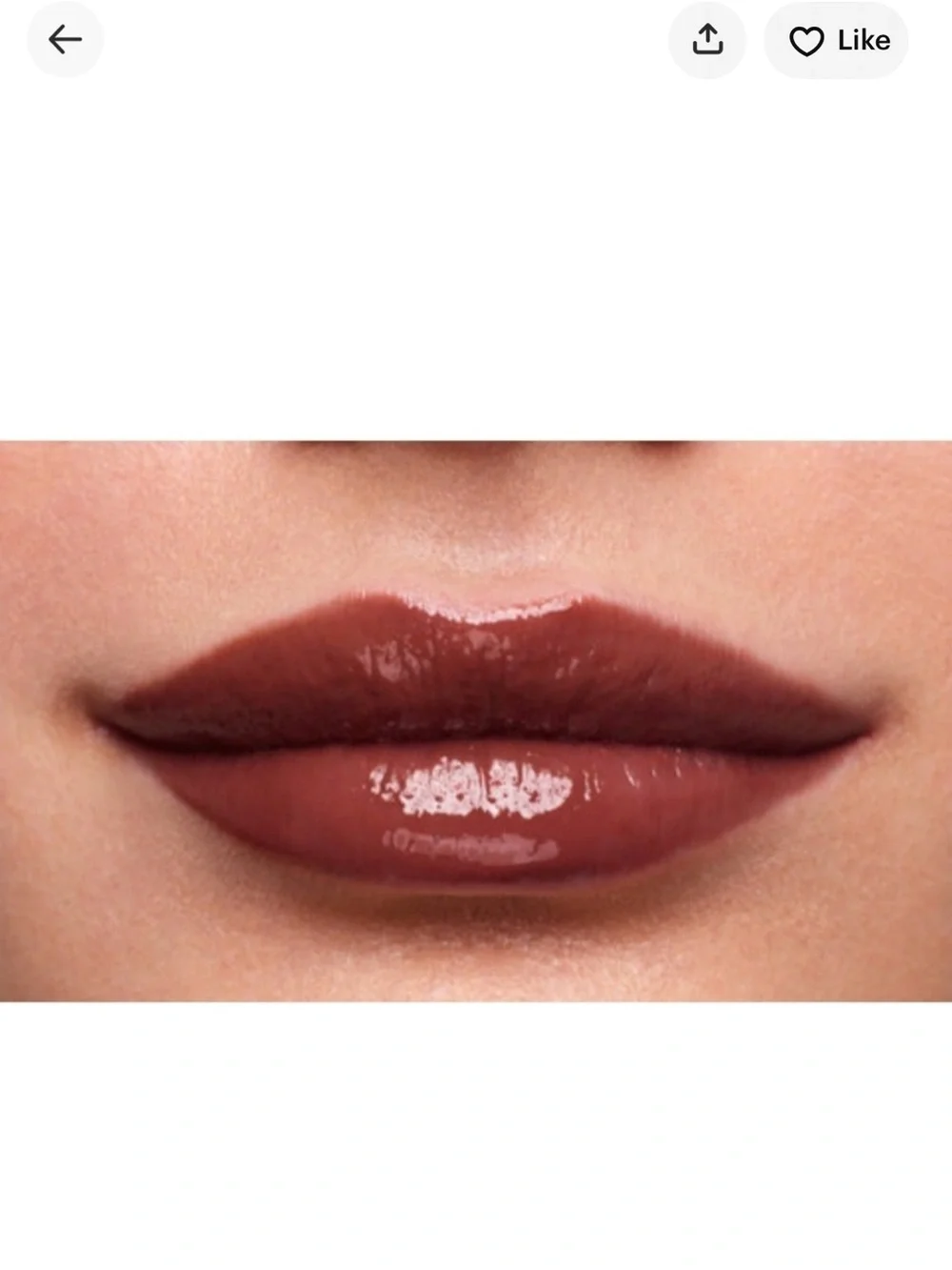 Stila Plumping Lip Glaze Cinnamon